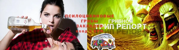 mdpv Ельня