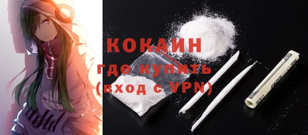 mdpv Ельня