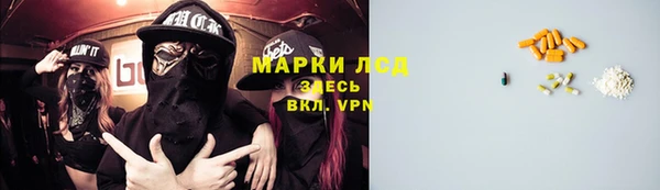mdpv Ельня