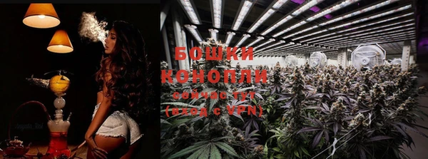 mdpv Ельня