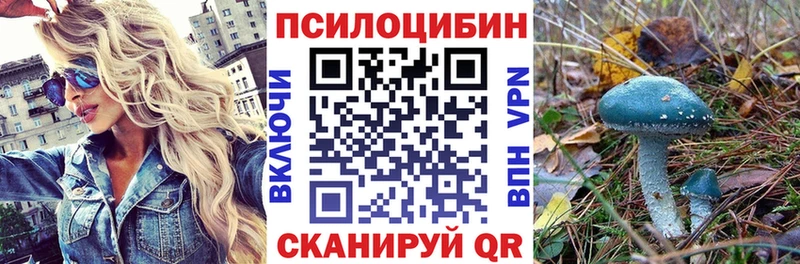 Галлюциногенные грибы Cubensis  Енисейск 